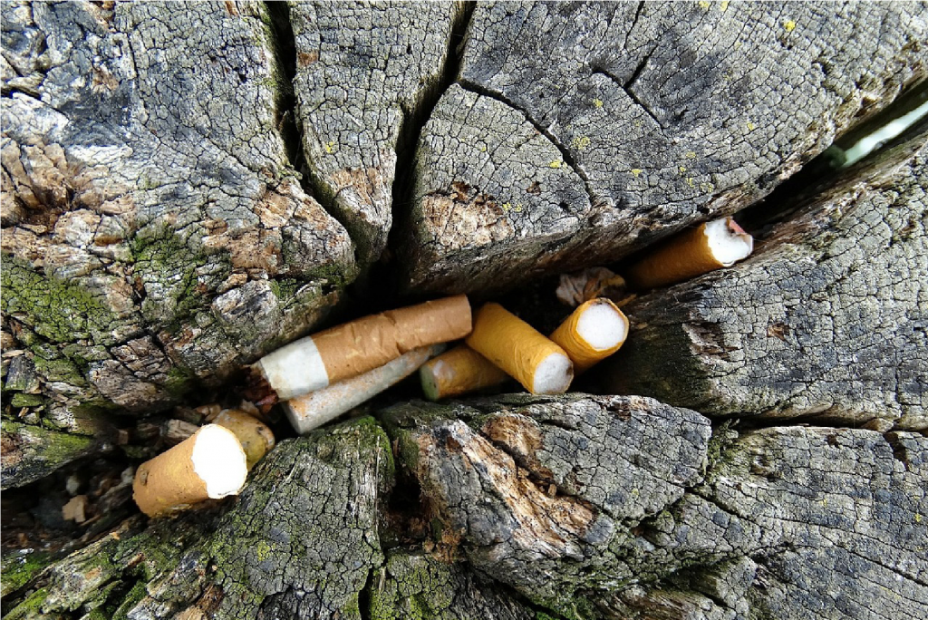 Eco2Logic: dai mozziconi di sigaretta e dai rifiuti organici al riuso intelligente