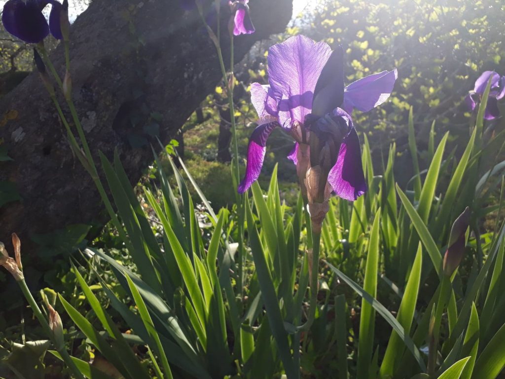 25 giorni a casa – Day 29