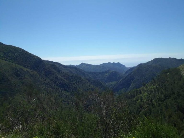 Alluvioni e territorio: a Torino per Biennale Democrazia 2021